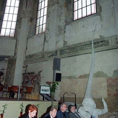 ceny-vize-0920090102foto-a-pajer0128