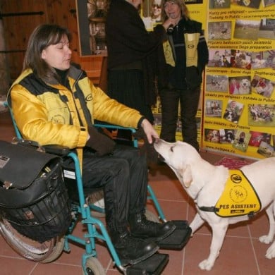 img-070